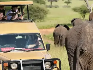 Travelers photographing elephants from an open-roof safari vehicle