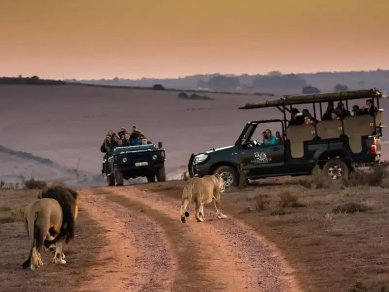 About Pollant Travels