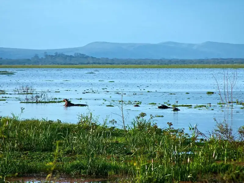 Lake Naivasha